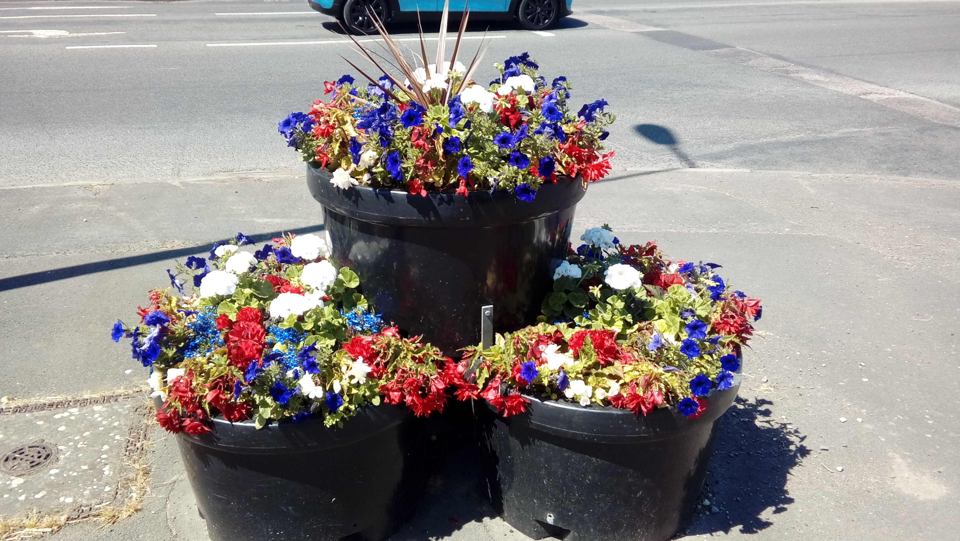 3 baskets of red blue and white flowers